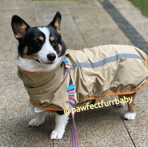 Doggy Rain Coat - Picture 1 of 5